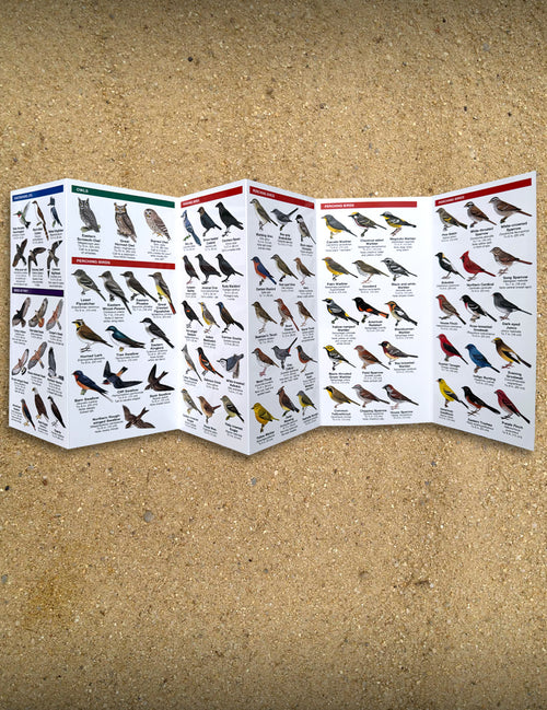 Michigan Birds Folding Pocket Guide