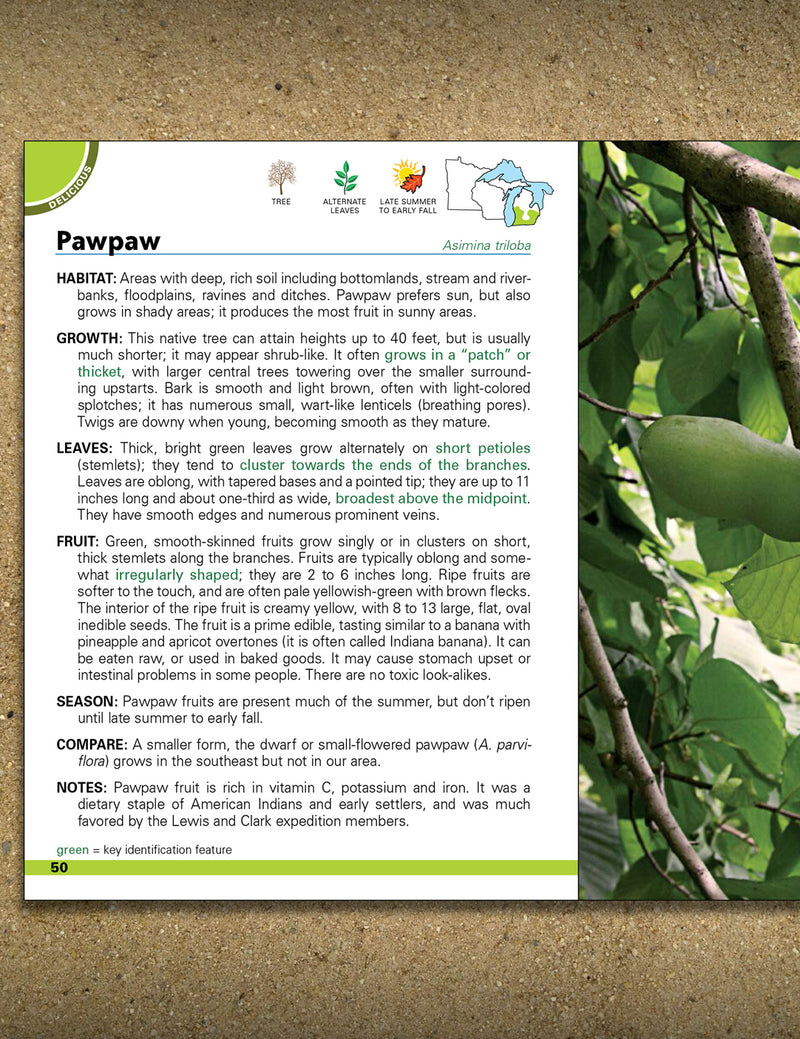 Wild Berries & Fruits Field Guide