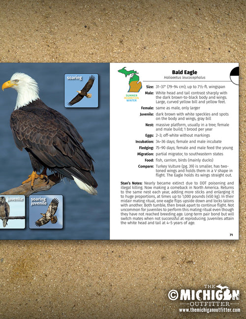 Birds of Michigan  Field Guide